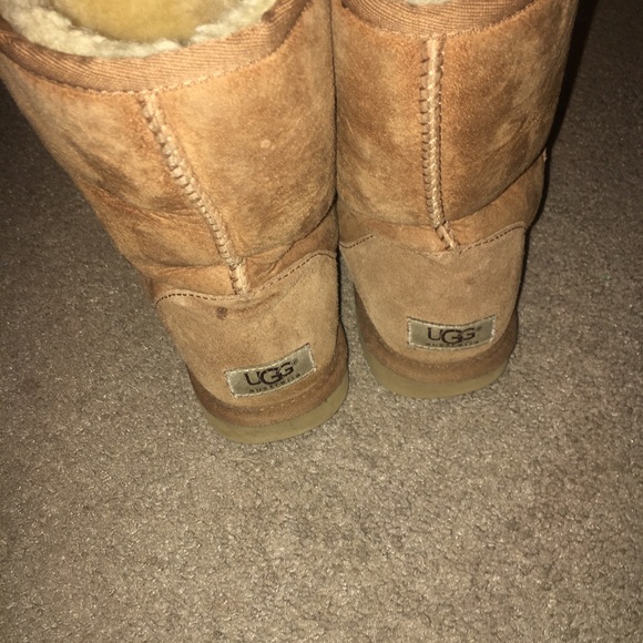 Chestnut short uggs lightly worn - Picture 2 of 4